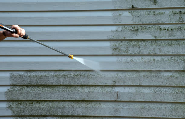 Attic Mold Removal in Lakewood, CA