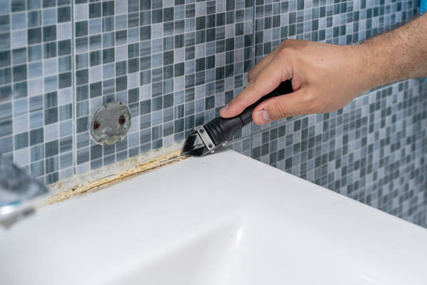 Best Attic Mold Removal  in Lakewood, CA